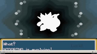 Pokemon Fire Red Nidoran male Evolves to Nidorino and to Nidoking [upl. by Trout]