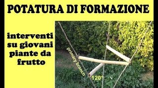 Potatura di formazione per giovani piante da frutto Orticoltura sostenibile 47 [upl. by Ytsim]