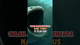 inilah alasan mengapa Nabi Yunus di Telan ikan feedshorts shortvideo kisahislami [upl. by Etnad7]