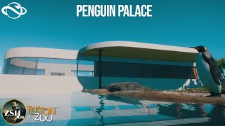 Penguin Palace ¦ Tekton Zoo ¦ Planet Zoo franchise mode ¦ Ep 3 [upl. by Ruperta]