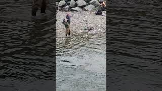 I really caught a huge salmonI ❤️ salmon fishing Vedder river Canada 🇨🇦 11 [upl. by Tapes]