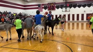 Watch Now Donkey basketball at Port Byron High School [upl. by Hett]