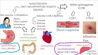 Understanding NonSteroidal AntiInflammatory Drugs NSAIDs in 3 minutes [upl. by Enelrac]