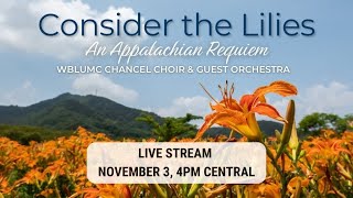 quotConsider the Liliesquot an Appalachian Requiem [upl. by Filia]