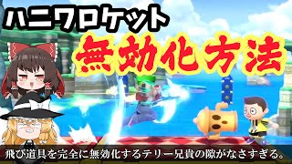 ハニワロケットもパッパパワーで解決するテリー兄貴【FORESTちゃんねる切り抜き】【スマブラsp】 [upl. by Attenor]