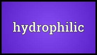 Hydrophilic Meaning [upl. by Meehaf637]