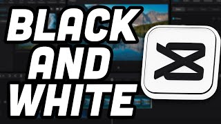 How to Change Your Video into Black and White in CapCut  Convert colorful Video to Black and white [upl. by Arikaahs800]