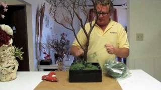 Manzanita Branch Centerpieces HowTo 1 [upl. by Avirt]