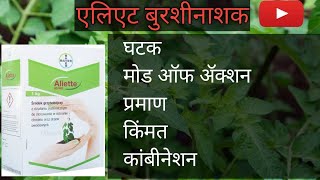 BAYER ALIETTE fungicideएलिएट बुरशीनाशकbayertomatograpesonionindianagripointlpatelannanirmata [upl. by Aynotahs]