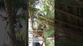 Survival treehouse survival primitivetechnology bushcraft islandsurvival full vid on channel [upl. by Nysa]