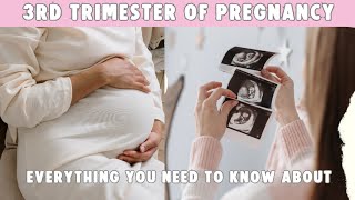 🤰 Literally EVERYTHING You Need to Know About the 3rd Trimester of Pregnancy pregnancy [upl. by Rudwik]