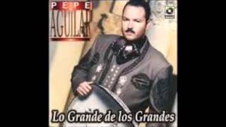 PEPE AGUILAR  ALBUR DE AMOR [upl. by Saisoj957]