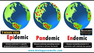 Difference between Epidemic Pandemic and Endemic Diseases with examples biologyexams4u [upl. by Ellivnarg]