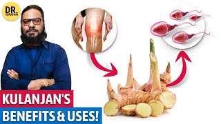 Kulanjan Ke Fawaid Istamal  Galangal Root Benefits  Dr Ibrahim [upl. by Shermy]