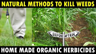 Organic Herbicides for Farming  Natural Weed Killer Weedicides  Organic Farming [upl. by Akinna291]