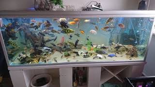 কখনই যেই কাজ গুলো করবেন না Never do those with your aquarium [upl. by Goodspeed]