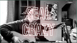 Seal  Crazy acoustic cover [upl. by Connelly268]