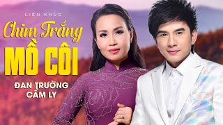 LK Chim Trắng Mồ Côi Sao Anh Ra Đi  Đan Trường Cẩm Ly  Official Music Video [upl. by Eemiaj]