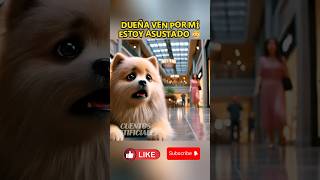 Perrito perdido 🐶😢💔shorts historiasdeperros perros mascotas dog mismascotas amorperruno [upl. by Concha]