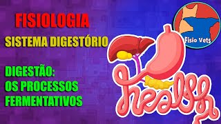 Sistema digestório  Digestão Os processos fermentativos  Fisiologia veterinária  Aula 5 [upl. by Helbonia178]