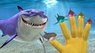 Animals Cartoons  Shark Finger Family Songs Shark Animals Finger Family Rhymes For Children [upl. by Roe428]