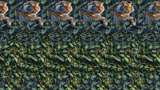 Animal Attraction 🐱  3D Stereogram Illusions [upl. by Landre]