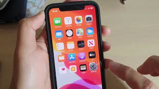 iPhone 11 Pro How to Enable  Disable Reduce Motion  Parallax Effect [upl. by Scharf221]