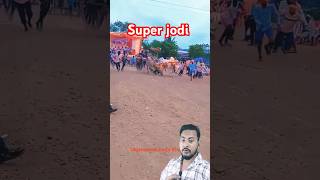 Supar jodi best bullock jodi oxrace shorts youtubeshorts trending [upl. by Fernando]