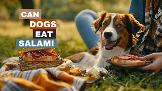 Can Dogs Eat Salami [upl. by Ursas]