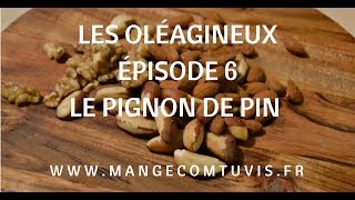 httpwwwmangecomtuvis Le pignon de pin [upl. by Corly]