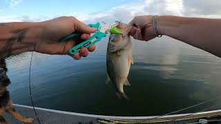 Day 2 at Woods Reservoir cooler temps more bass [upl. by Leboff]