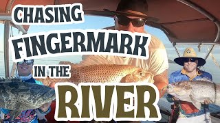 How to catch Fingermark in the River [upl. by Caines]