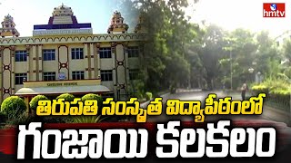 Ganja In National Sanskrit University  తిరుపతి సంస్కృత విద్యాపీఠంలో గంజాయి కలకలం  hmtv [upl. by Eiryt]