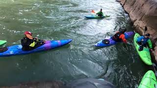 Grand Canyon Colorado swims [upl. by Iruam]