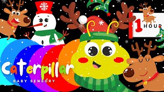 🌈 Rainbow Caterpillar ☃️ Snowman amp 🎄 Christmas Reindeers Winter Snow Party ❄️  Baby Sensory Video [upl. by Wons]