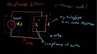 Windkessel Effect  Aortic compliance [upl. by Ylac854]