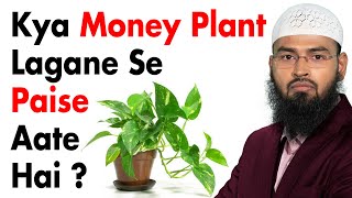 Money Plant Lagane Se Kya Paise Aate Aur Tawhaam Ka Kya Mamla Hai By Adv Faiz Syed [upl. by Dallman532]