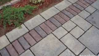 Polymeric sand joint replacement project [upl. by Oek]