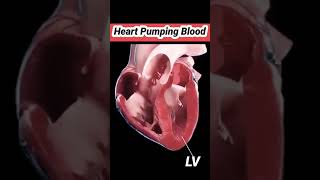 ejection fraction of left vertical 60 uknursing overseasnurs nursingprocess internationalnurses [upl. by Noyar469]