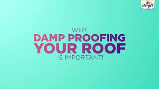 Why damp proofing your roof is important [upl. by Hurless867]