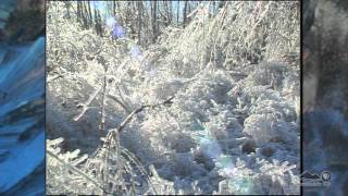 Natural Disaster in Upstate New York A 1998 Ice Storm Retrospective [upl. by Carmela]