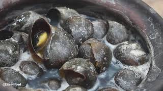 snail How to cook river snail for dinner in forest so yummy [upl. by Luthanen]