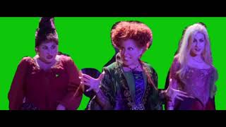 Hocus pocus Sanderson sisters Green screen [upl. by Ashti578]