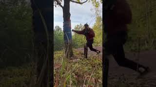 Jiri Prochazka Is Hitting a Tree 500 Times A Day To Prep For UFC Title Shot [upl. by Rudyard]