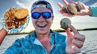 Bay Scallop Catch Clean amp Cook  Crystal River Easy and Delicious [upl. by Adoree]