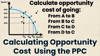 How to Calculate Opportunity Cost Using PPC  Econ Homework  Think Econ [upl. by Zaragoza]