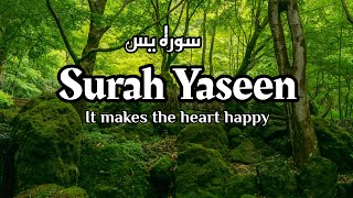 Surah YasinYaseenسوره يسIt makes the heart happy yasin [upl. by Abdel148]