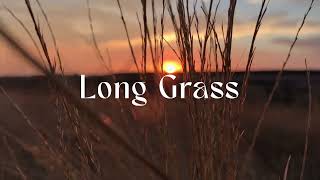 Long Grass by Charlie Ryan [upl. by Moulton]