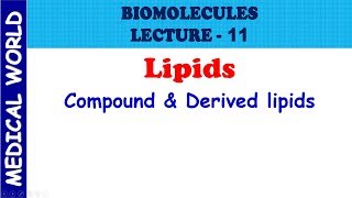 BIOMOLECULES  COMPOUND AND DERIVED LIPIDS  LECTURE 11 [upl. by Nitsew]