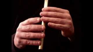 Mills are Grinding 1 Faster  Tin Whistle Lesson  Tradschool [upl. by Meingolda]